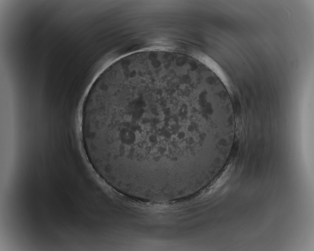 X0000094821099200711161523