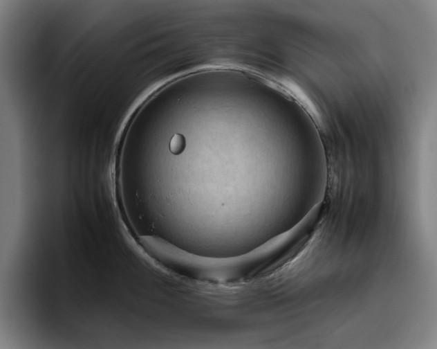 X0000094821100200711161523