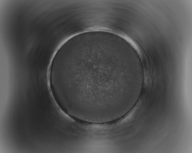 X0000094821102200711161523