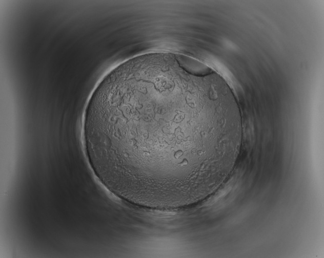 X0000094821103200711161523