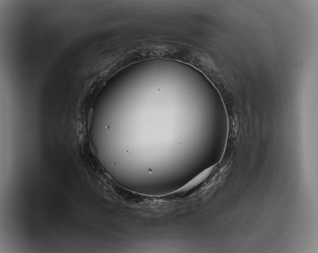 X0000094821109200711161522