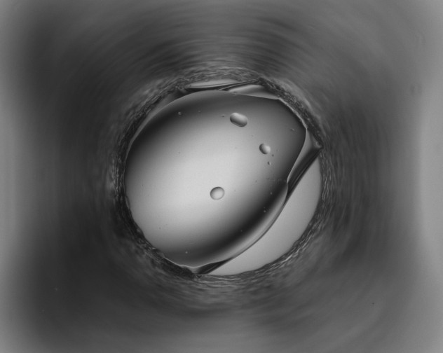 X0000094821110200711161522