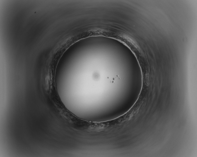 X0000094821111200711161522