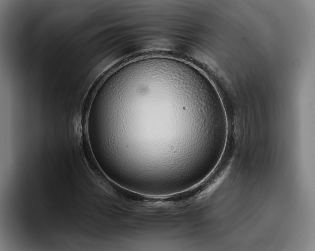 X0000094821113200711161522