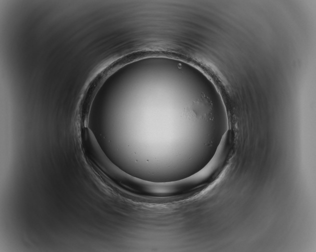X0000094821114200711161522