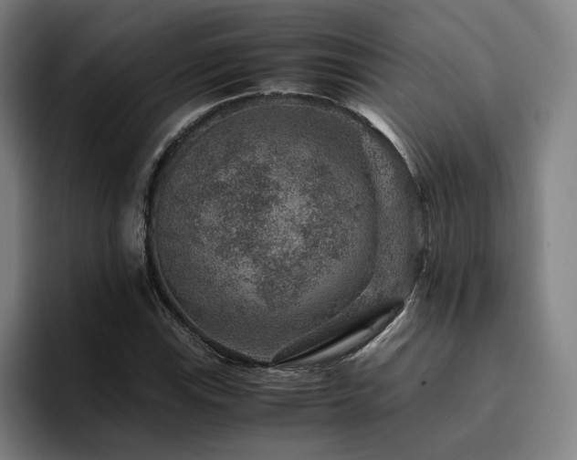 X0000094821115200711161522