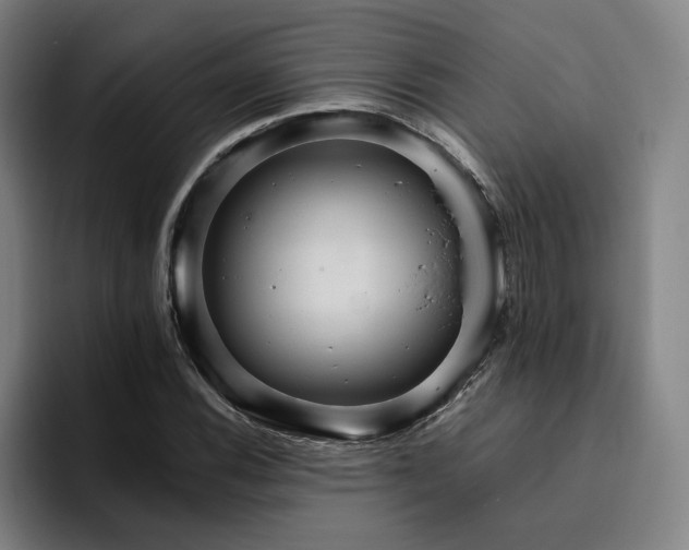 X0000094821116200711161522