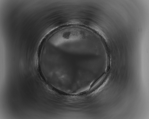 X0000094821117200711161522