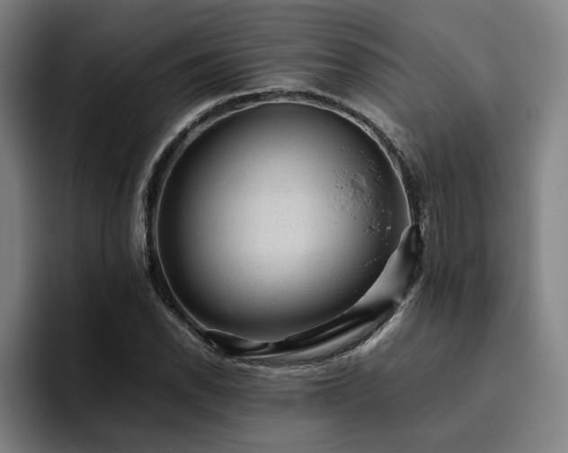 X0000094821118200711161522