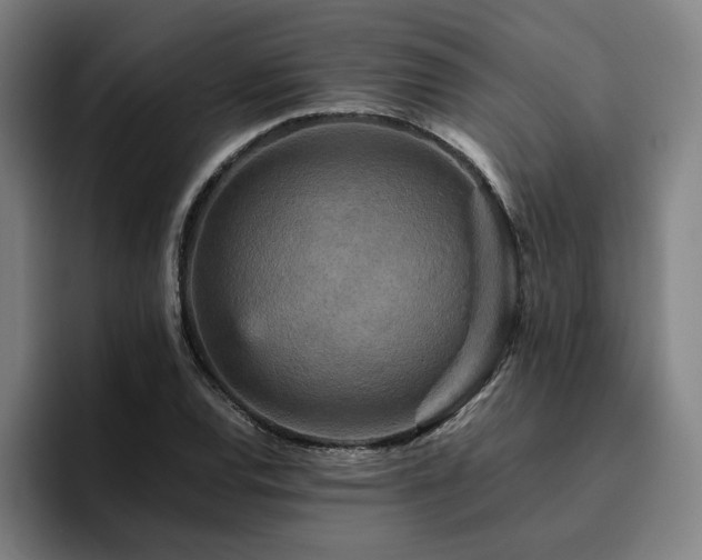 X0000094821120200711161522