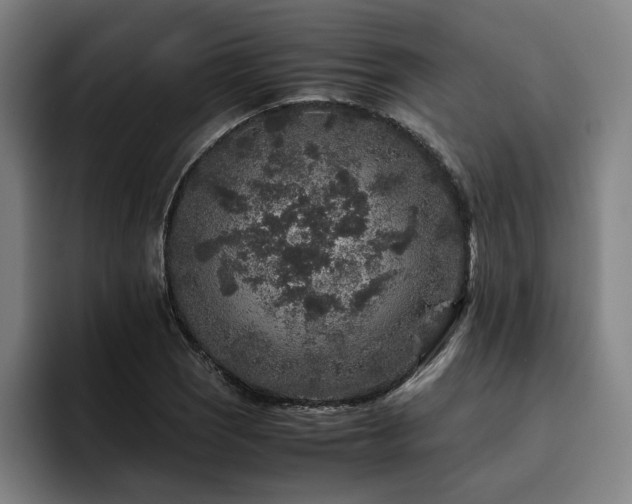 X0000094821121200711161522