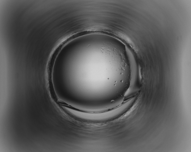 X0000094821122200711161522