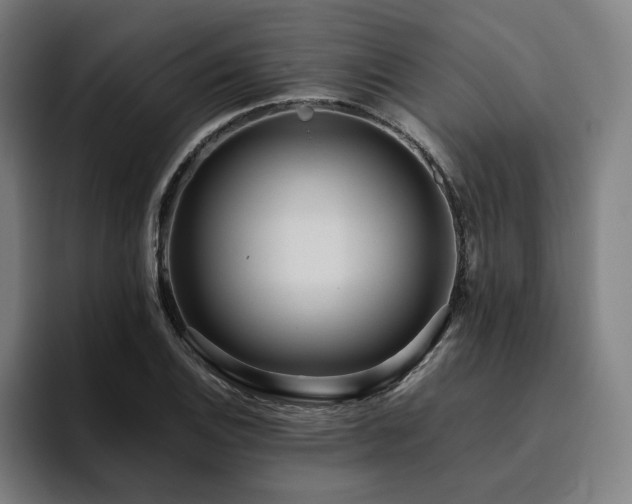 X0000094821124200711161522