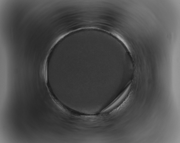 X0000094821127200711161522
