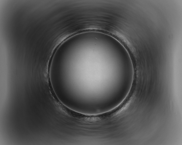 X0000094821129200711161522