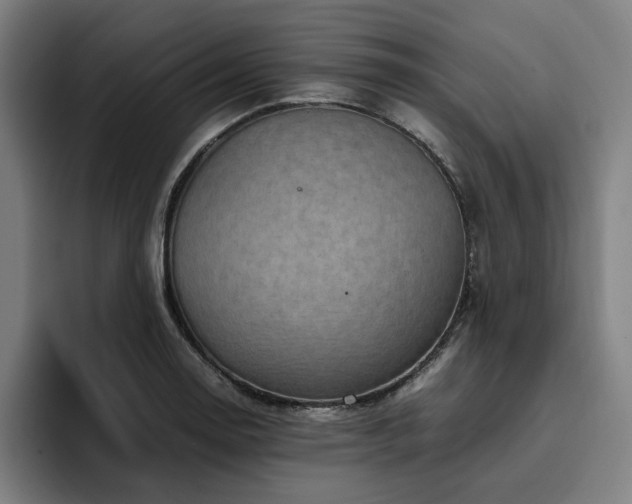 X0000094821130200711161522