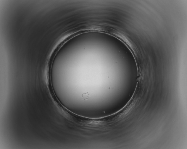 X0000094821131200711161522