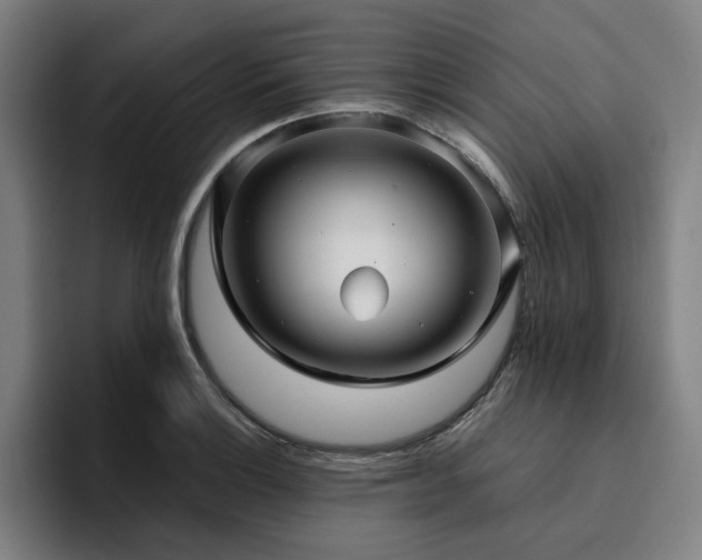 X0000094821132200711161522