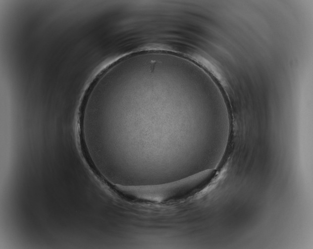 X0000094821133200711161522