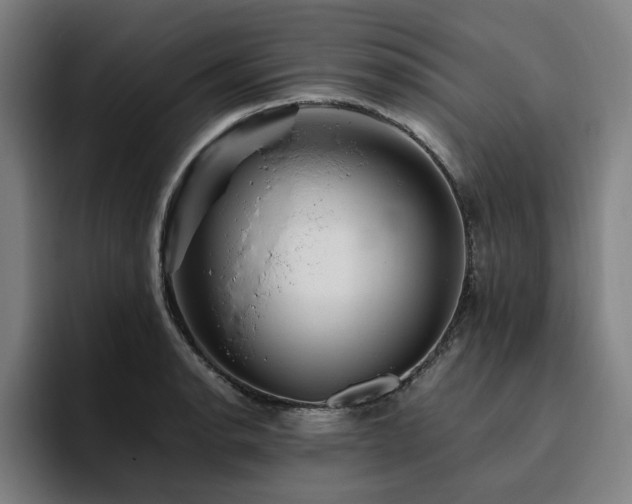 X0000094821134200711161522