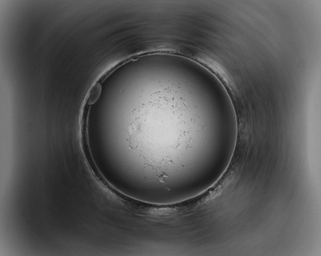 X0000094821135200711161522