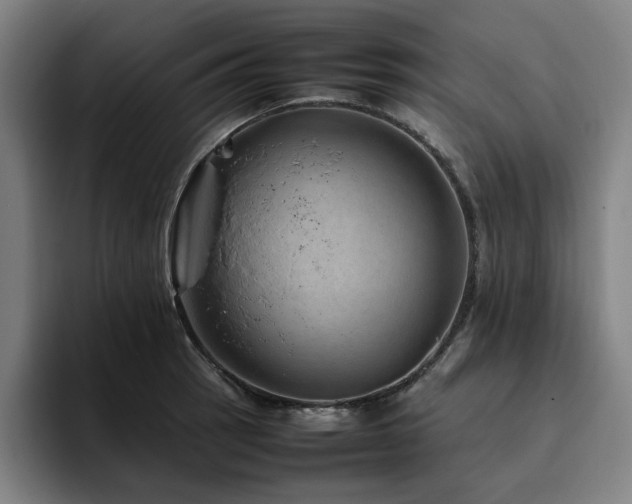 X0000094821137200711161522