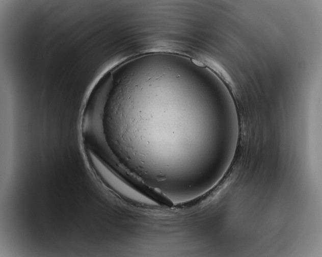 X0000094821138200711161522