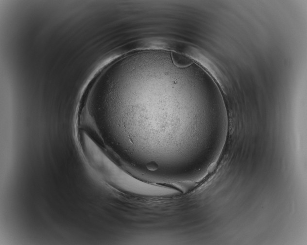 X0000094821139200711161522