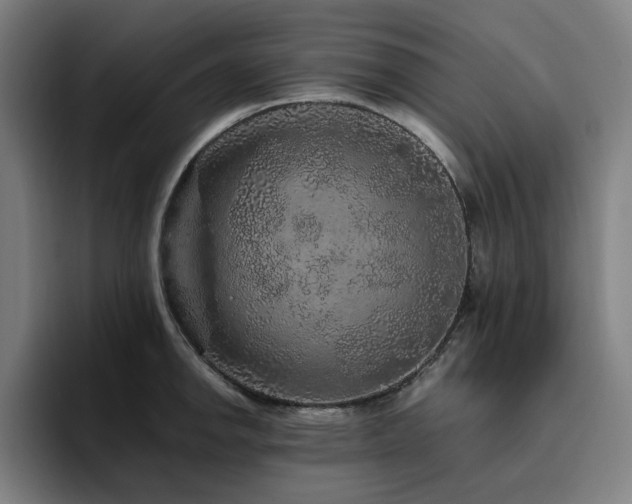 X0000094821142200711161522