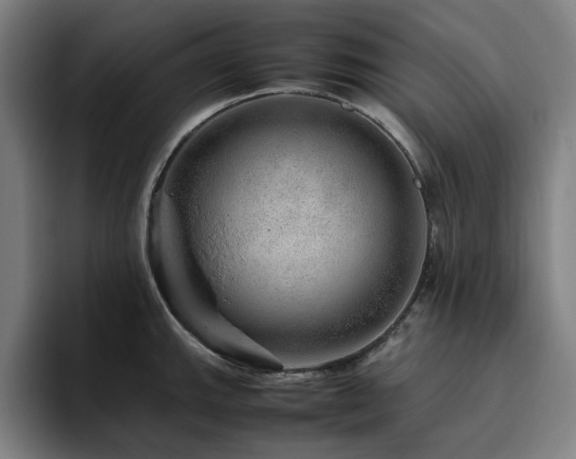X0000094821143200711161522