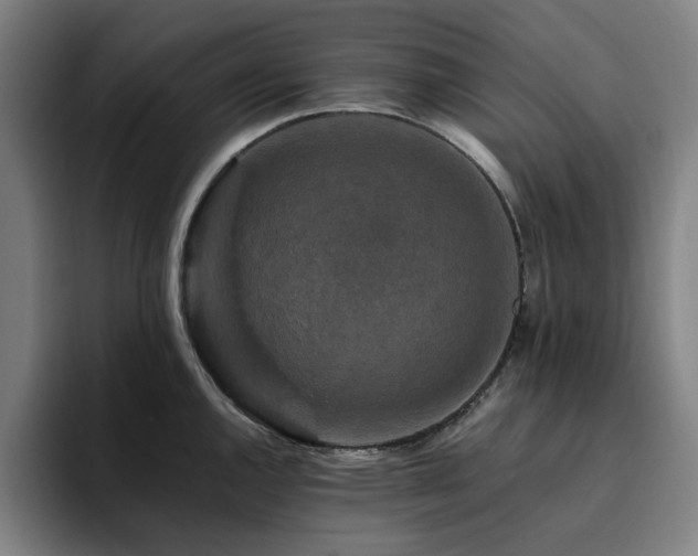 X0000094821144200711161522