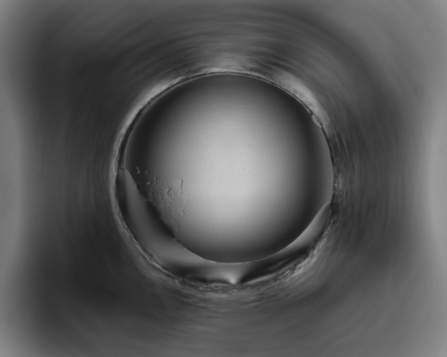 X0000094821146200711161522