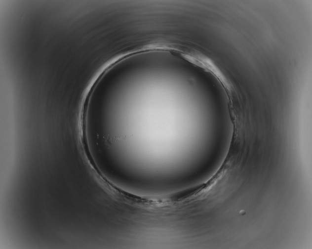 X0000094821148200711161523