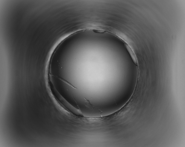 X0000094821152200711161523
