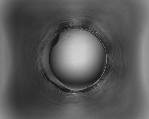 X0000094821153200711161522