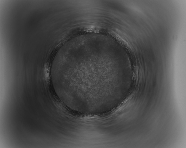 X0000094821154200711161522