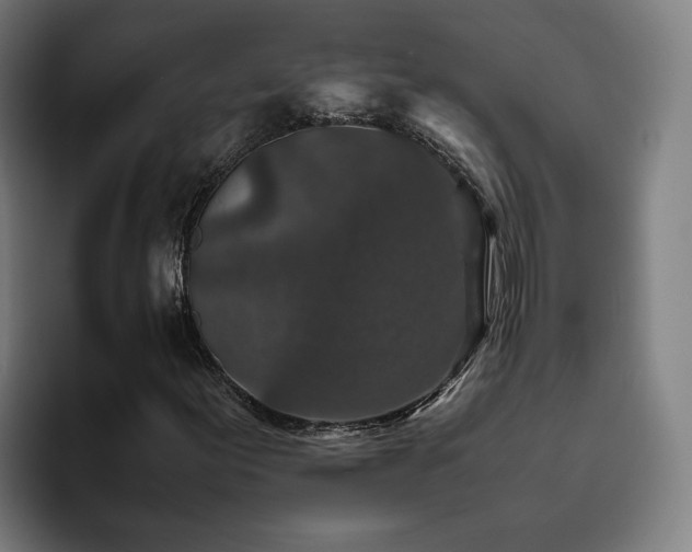 X0000094821155200711161522
