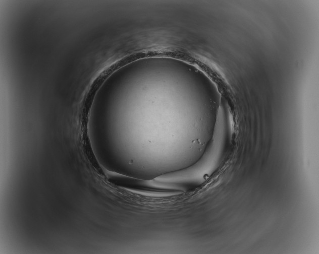 X0000094821160200711161522
