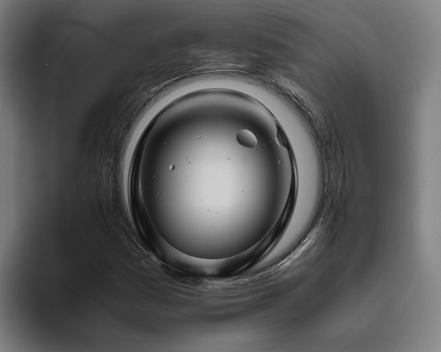 X0000094821161200711161522