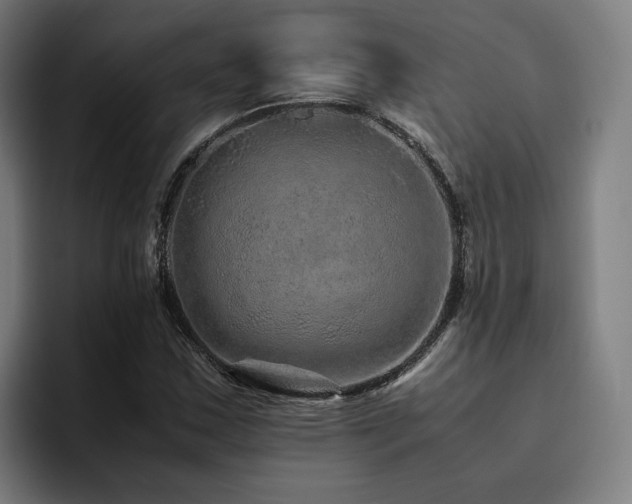X0000094821163200711161522