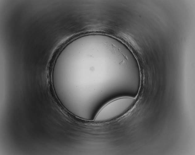 X0000094821164200711161522