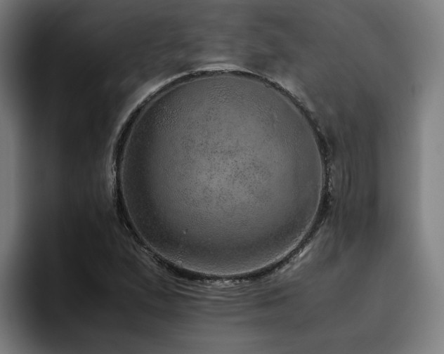 X0000094821167200711161522