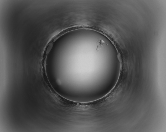 X0000094821168200711161522