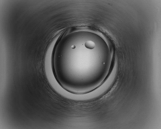 X0000094821169200711161522