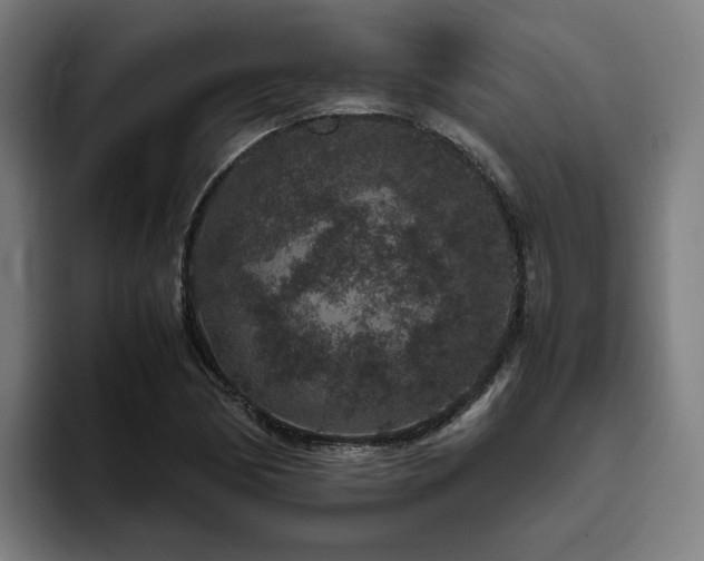 X0000094821170200711161522