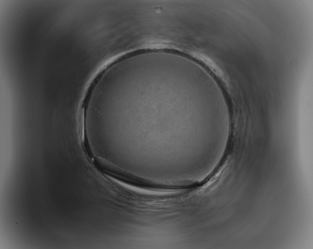 X0000094821175200711161522