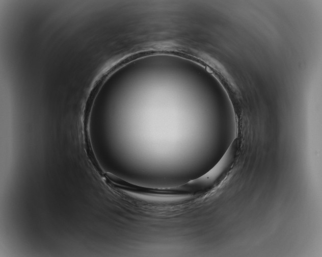 X0000094821176200711161522