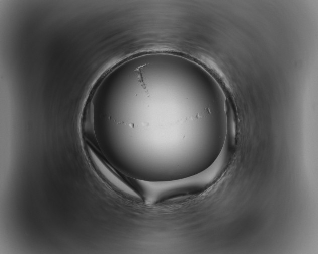 X0000094821181200711161522