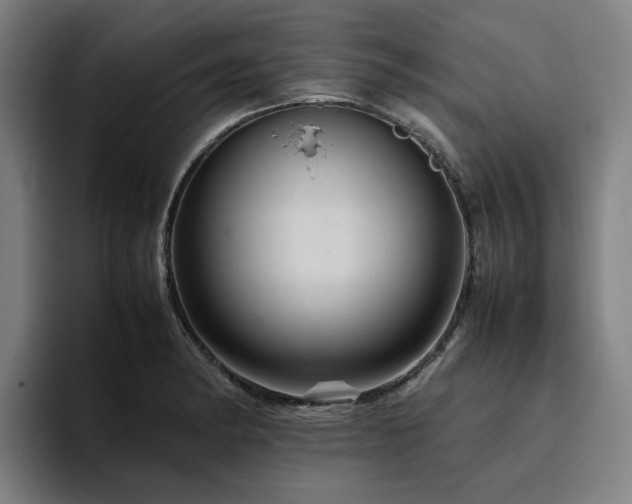 X0000094821182200711161522