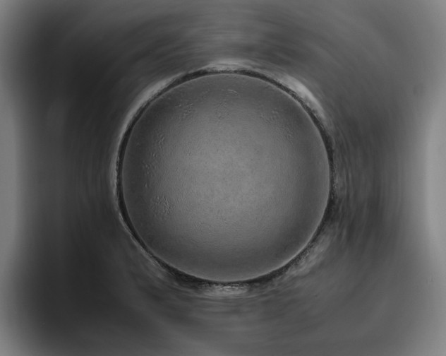 X0000094821183200711161522